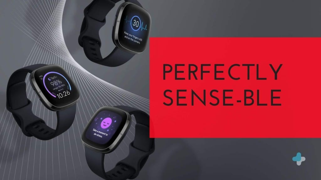 TechVise Fitbit Sense Review