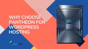 Why Choose Pantheon for Wordpress Hosting